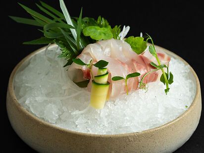 SASHIMI SPIGOLA